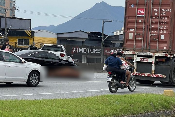 Cavalo atropelado na BR-101 em Palho&ccedil;a – Foto: S&eacute;rgio Guimar&atilde;es