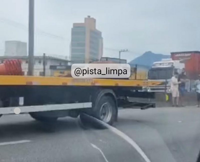 Cavalo sendo retirado da pista – Foto: PRF