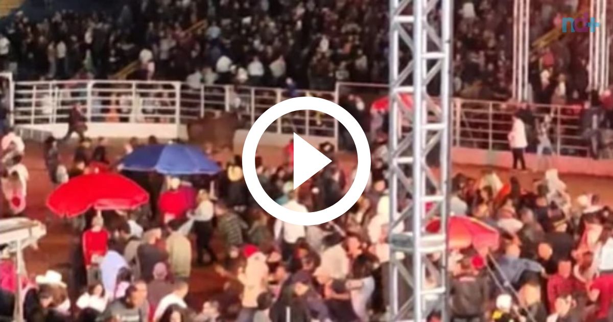 vÍdeo touro invade arena de rodeio e fere pessoas que aguardavam show