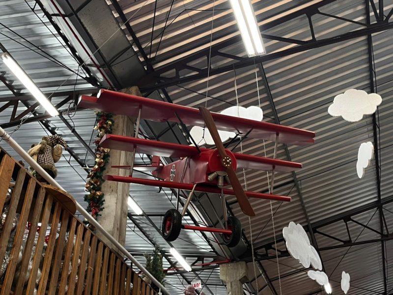 Avi&atilde;o na loja Mukifo custa R$ 16 mil – Foto: Luciano Cerin/ND