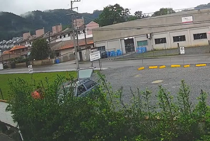 Interrogado pela Pol&iacute;cia Civil, suspeito disse que abandonou cadela com quatro filhotes no bairro Velha Central pois sua nova moradia ‘n&atilde;o aceitava’ presen&ccedil;a de c&atilde;es – Foto: Pol&iacute;cia Civil/Divulga&ccedil;&atilde;o/ND