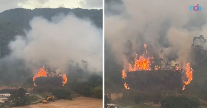 Photo montage of a fire in a green area near Itajaí town hall.