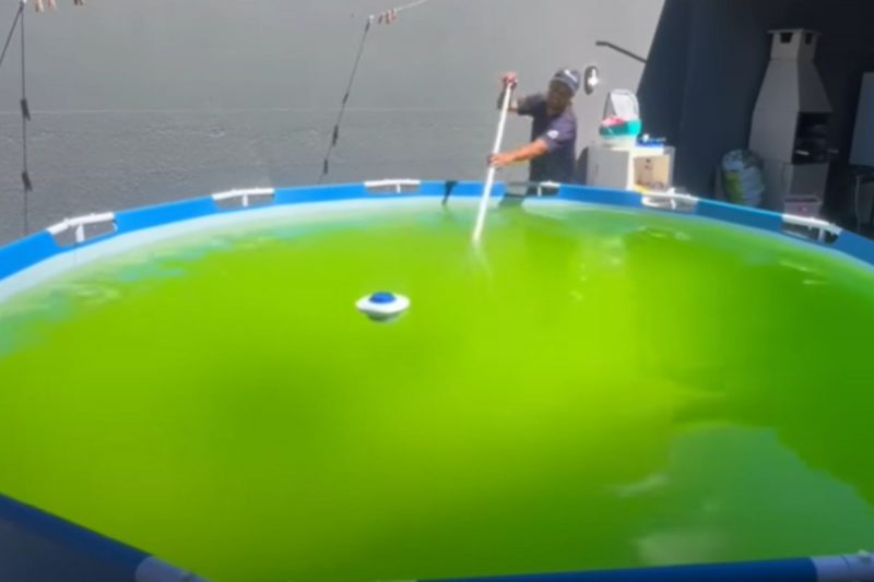 Profissional ensinou passo a passo para limpar a piscina de pl&aacute;stico – Foto: Reprodu&ccedil;&atilde;o/Redes Sociais