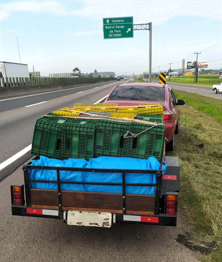 Bales of the drug were strewn between the seats of the car and the trailer - PRF/Disclosure/ND