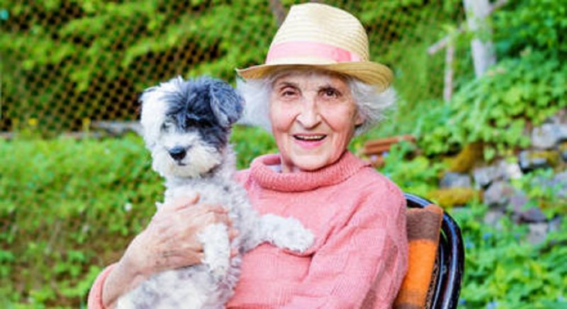 A imagem mostra uma senhora de idade segurando um cachorro peludo.