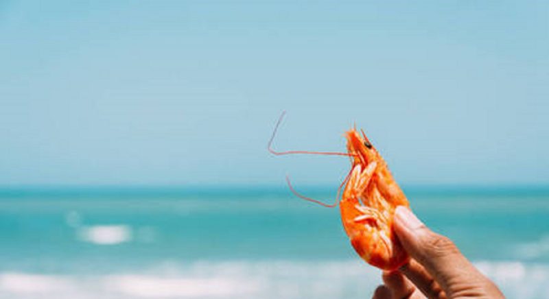 Alimentos consumidos na praia podem fazer mal e trazer consequências sérias à saúde das pessoas