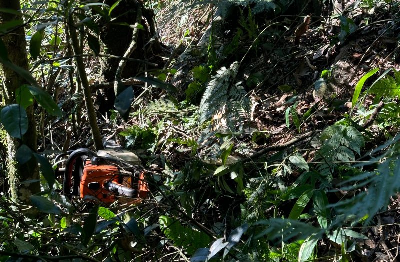 A vítima caiu enquanto cortava árvores, , em ribanceira em Caibi. 