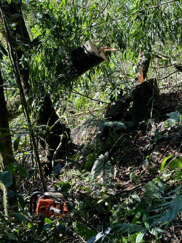 Um homem morreu na tarde de quarta-feira (27), na linha S&atilde;o Roque. – Foto: Corpo de Bombeiros/Reprodu&ccedil;&atilde;o/ND