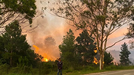 Incêndios completam 14h em Palhoça; equipes de três cidades foram mobilizadas