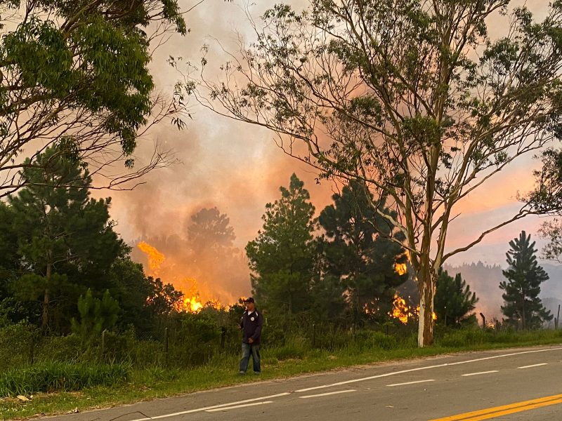 Bombeiros continuam atuando no combate dos incêndios em Palhoça 
