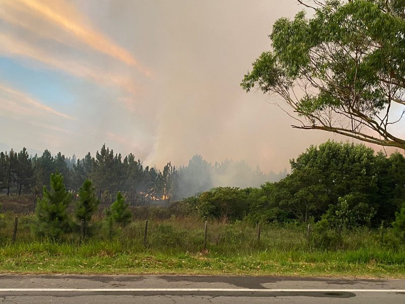 Incêndio consumiu 200 hectares da Serra do Tabuleiro, em Palhoça 