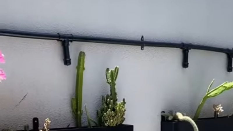 Irrigador automático preto grudado na parede branca irrigando plantas verdes