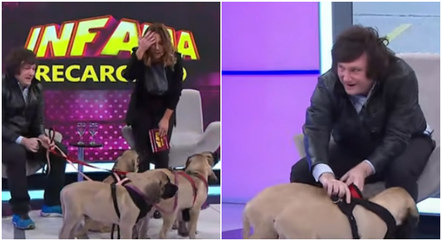 Javier Miley has already been with his dogs on an Argentine TV show – Photo: REPRODUAÇÃO/YOUTUBE/AMÉRICA TV