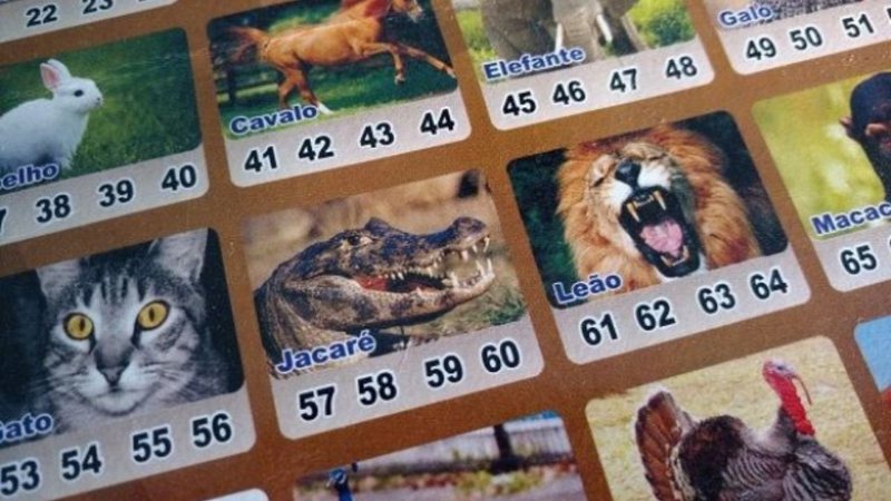 A table used by a bicheiro where various animals appear. 