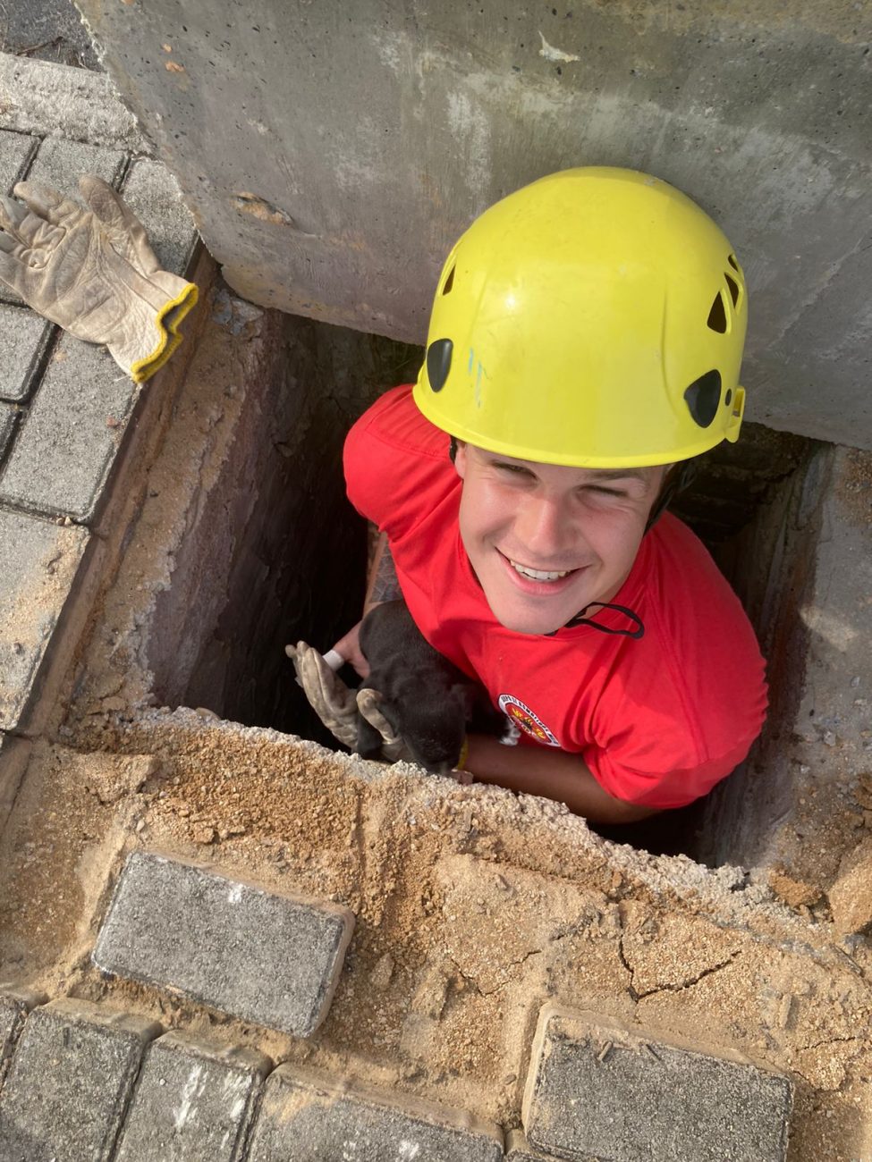 The barking attracted the attention of a pedestrian who decided to restrain the animals rescued from a manhole this Saturday (16) – Military Fire Service/Disclosure/ND