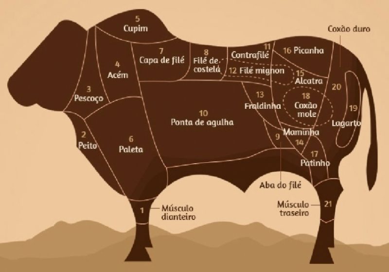 Mapa ilustrativo de cortes de carne do boi