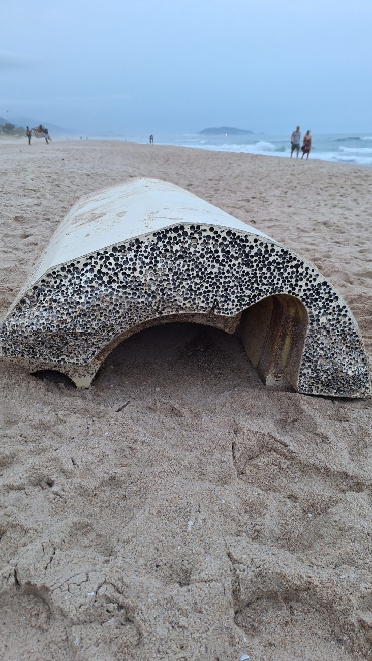 Imagens repercutiram na web - David Rennhack/Divulgação/ND