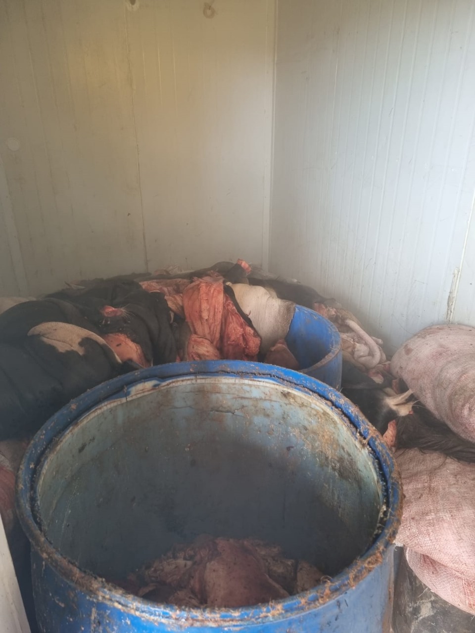 A preliminary investigation revealed that the site was a clandestine warehouse for processing animal by-products.  - Civil Police/Reproduction/ND