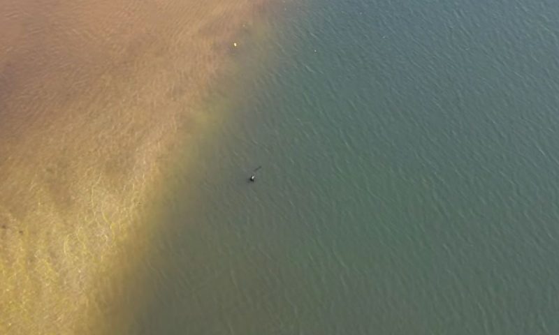 The creature appeared while the drone was filming the area – Photo: Reproduction