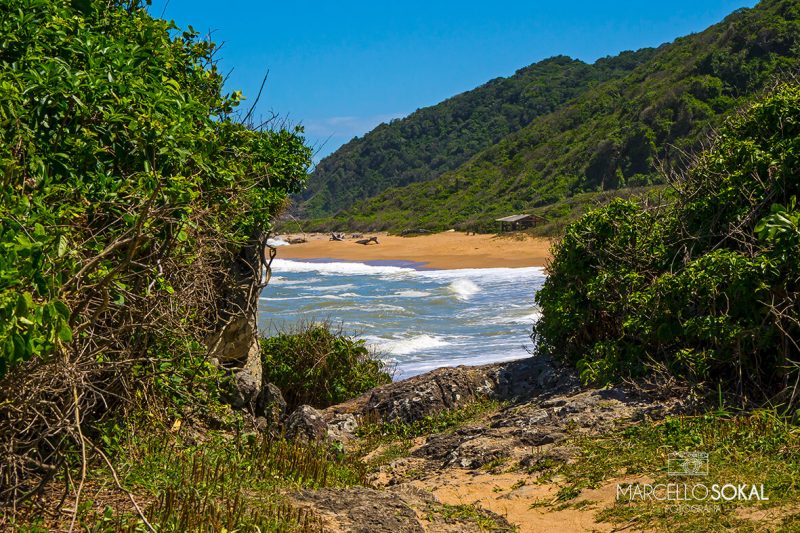 Cen&aacute;rio da Praia Vermelha &eacute; exuberante – Foto: Marcello Sokal/PMP/Divulga&ccedil;&atilde;o