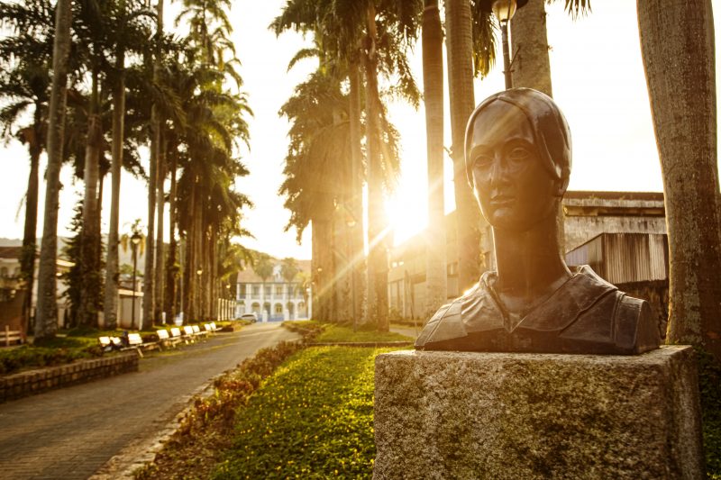Rua das Palmeiras, em Joinville – Foto: Prefeitura Municipal de Joinville/Divulga&ccedil;&atilde;o
