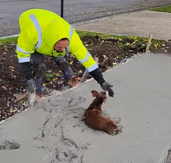 Um salsicha apocalíptico dificultando a construção de uma calçada - Foto: Internet/Reprodução/ND