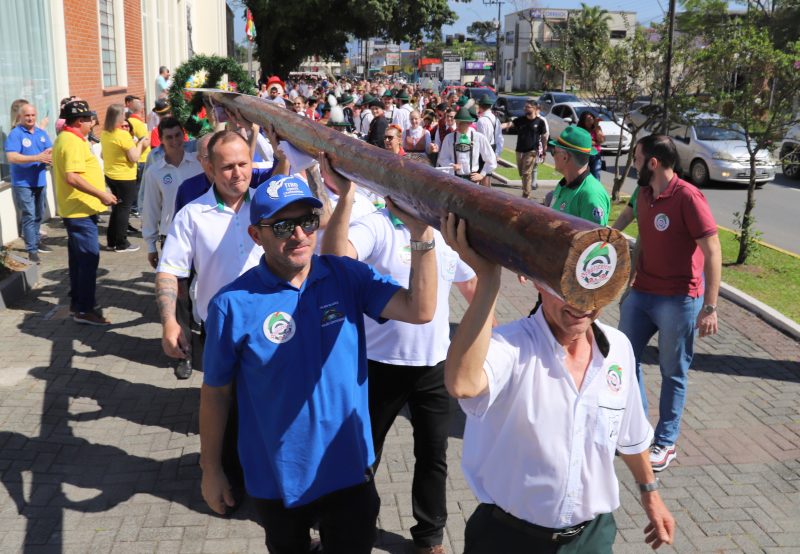 Sch&uuml;tzenbaum – Foto: Prefeitura Municipal de Jaragu&aacute; do Sul/Divulga&ccedil;&atilde;o