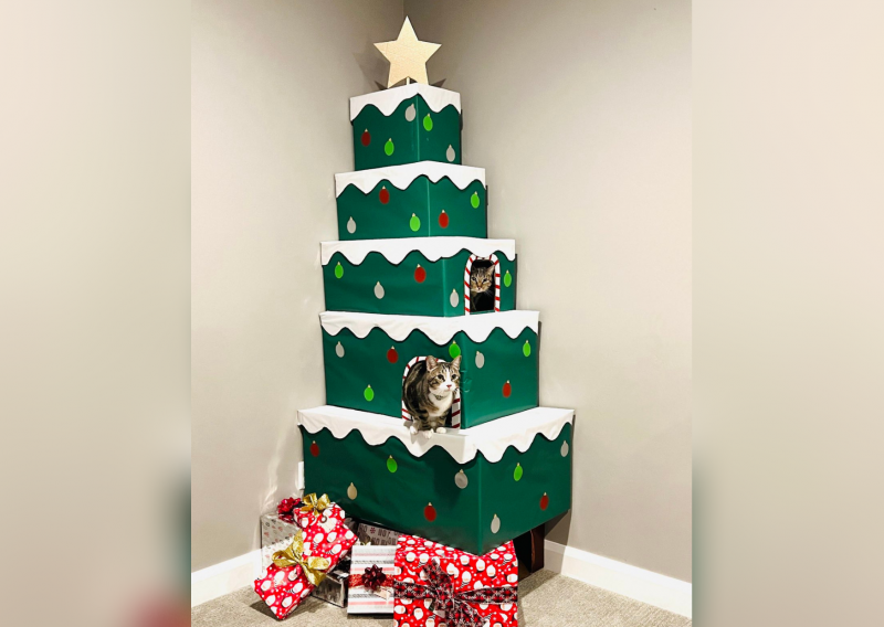 Teaming Up: 5 Creative Christmas Tree Ideas to Help Your Cat Survive This Year