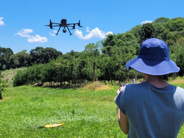 Sensor acoplado a drone otimiza tempo e reduz trabalho dos pesquisadores – Foto: Epagri/ND