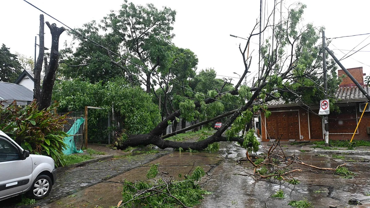 Treze morrem após desabamento por temporal na Argentina