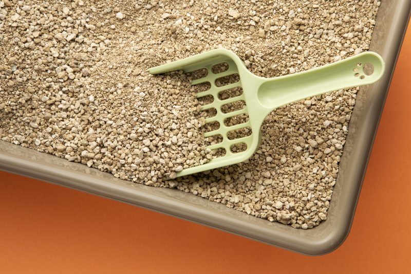 &Eacute; necess&aacute;rio fazer testes e ver qual se adapta mais – Foto: Freepik/Reprodu&ccedil;&atilde;o/ND