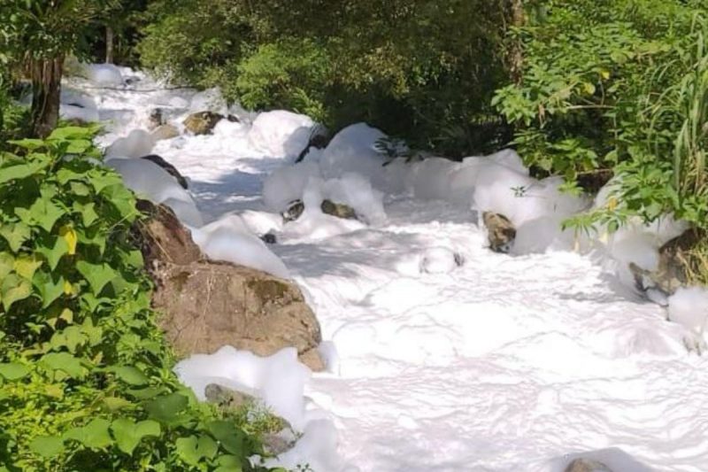 Produto está no rio Seco e também teria chegado no Rio Cubatão Norte &#8211; Foto: Prefeitura de Joinville/Divulgação