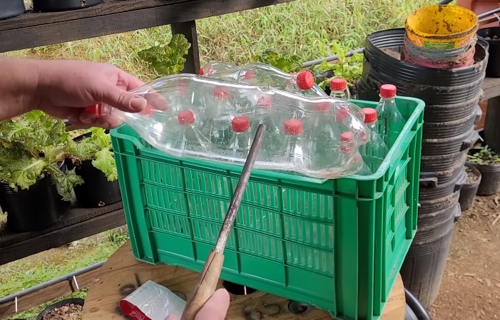J&uacute;nior explica quais pontos precisam ser furados nas garrafas – Foto: Reprodu&ccedil;&atilde;o/YouTube/ND