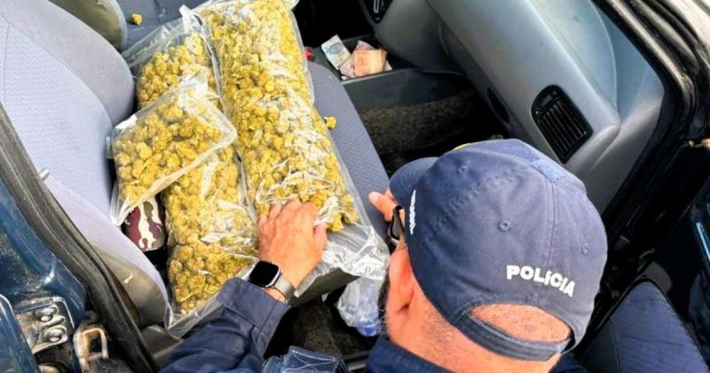 Drogas seriam levadas para Criciúma, afirmou motorista