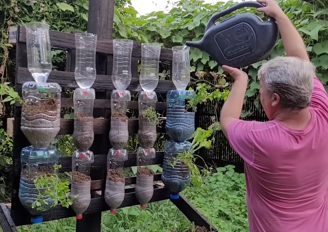Passo a passo te ensina a criar um lindo painel vertical para temperos – Foto: Reprodu&ccedil;&atilde;o/YouTube/ND