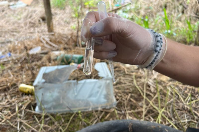 Casos de dengue explodem em SC – Foto: Prefeitura de Araquari/Divulga&ccedil;&atilde;o