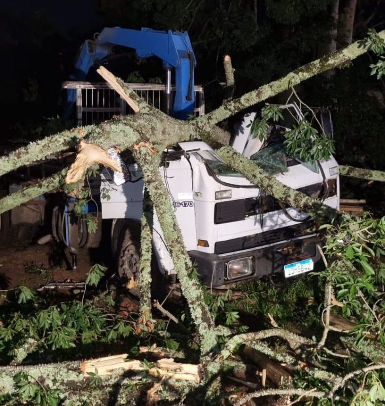 &Aacute;rvore atingiu caminh&atilde;o no bairro Para&iacute;so – Foto: Divulga&ccedil;&atilde;o/CBMSC/ND