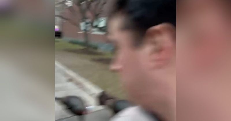 Jovem sendo perseguido por perus