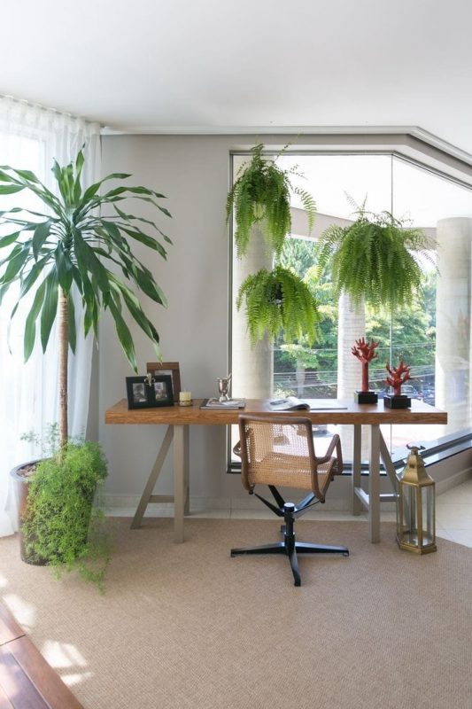 Quanto mais plantas dentro de casa, maior vai ser a conexão com a natureza e a sensação de bem-estar 