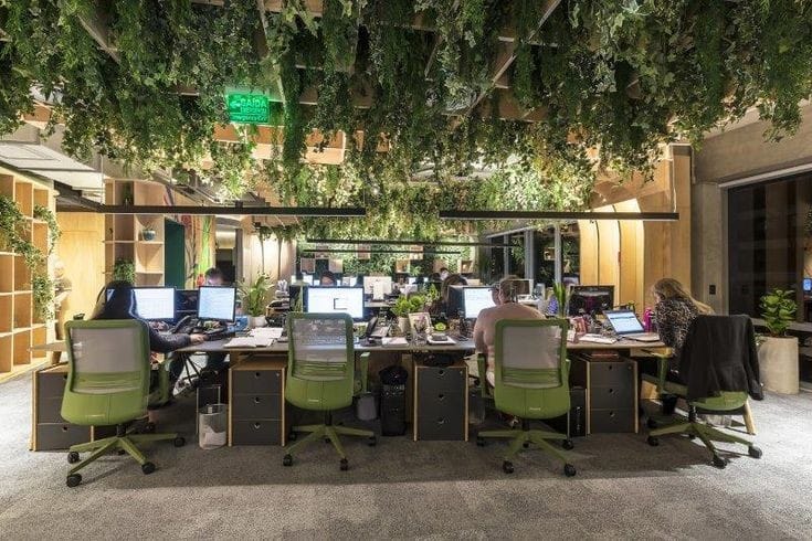 Escritórios que optaram por uma arquitetura biofílica perceberam uma maior produtividade dos funcionários