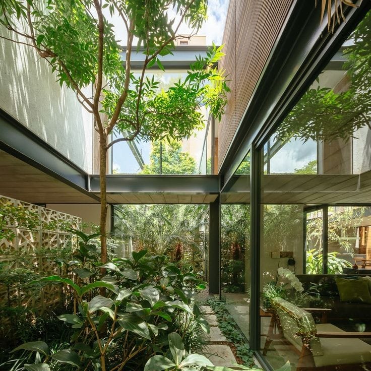 Biofilia, do grego antigo, significa amor à vida e à natureza