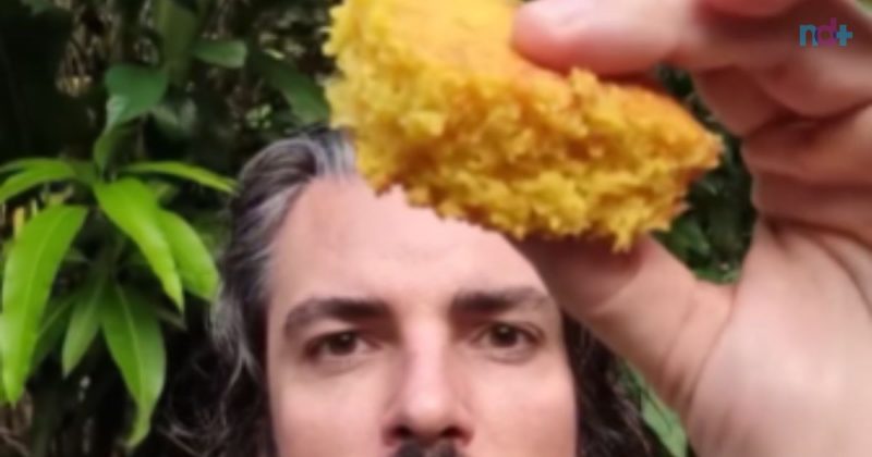 Imagem mostra resultado de bolo de milho