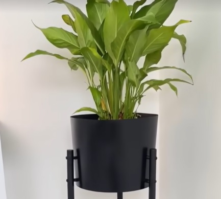 Por meio de um vídeo, a mulher mostra como transformar o balde em um belo cachepot de forma rápida e prática 