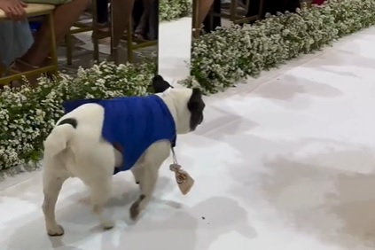O cachorro, chamado Dybala, protagonizou uma cena inusitada durante o casamento da sua tutora 
