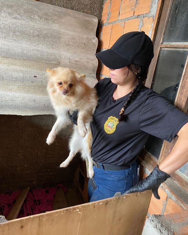 Canil investigado em SJ está entre as notícias mais lidas