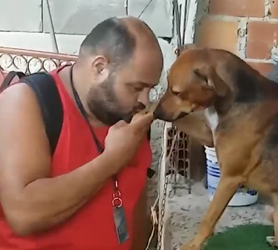 Caramelo encantador é flagrado em momento de fofura com o dono - Foto: Internet/Reprodução/ND