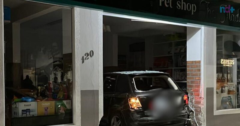 Imagem mostra carro dentro de pet shop; motorista estava bêbado