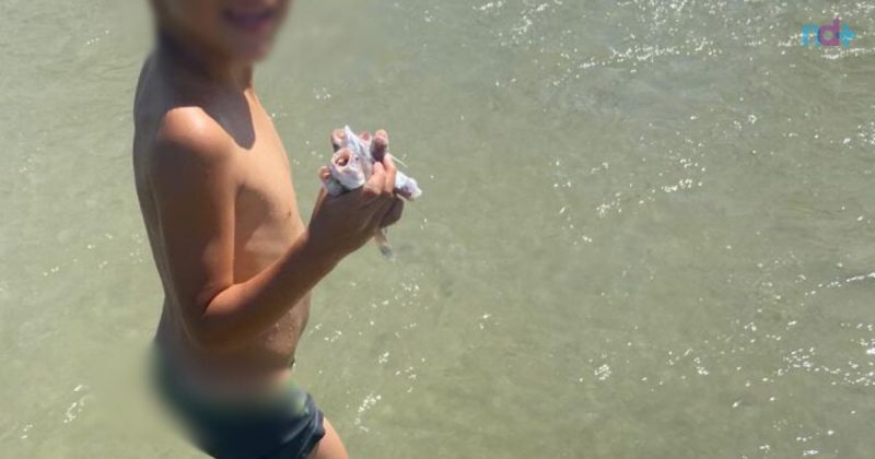 imagem mostra menino segurando peixes mortos na praia de Balneário Camboriú