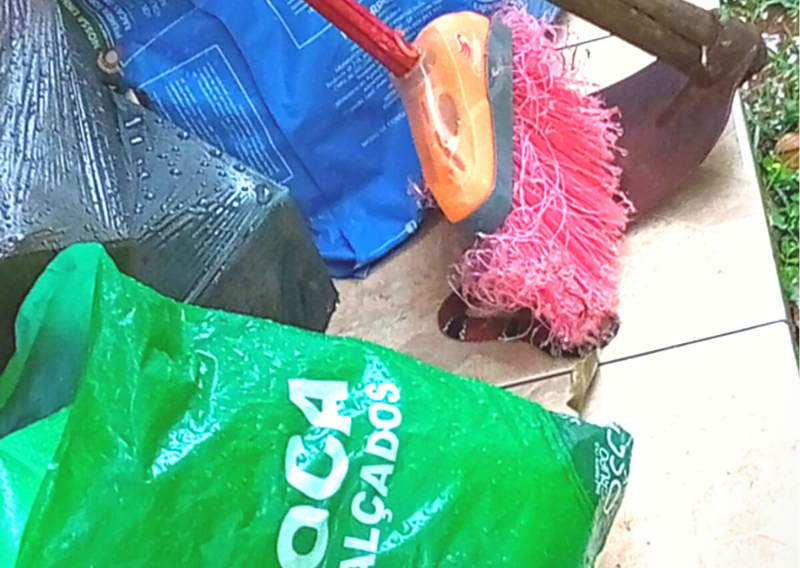 Cobra-coral ‘invade’ casa para se abrigar da chuva em Florianópolis