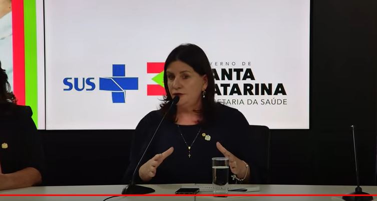 Dengue em Santa Catarina 